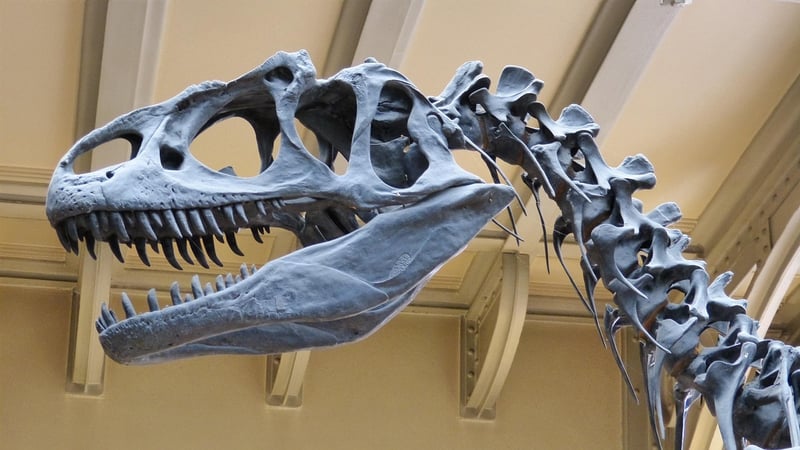 Jurassic Period